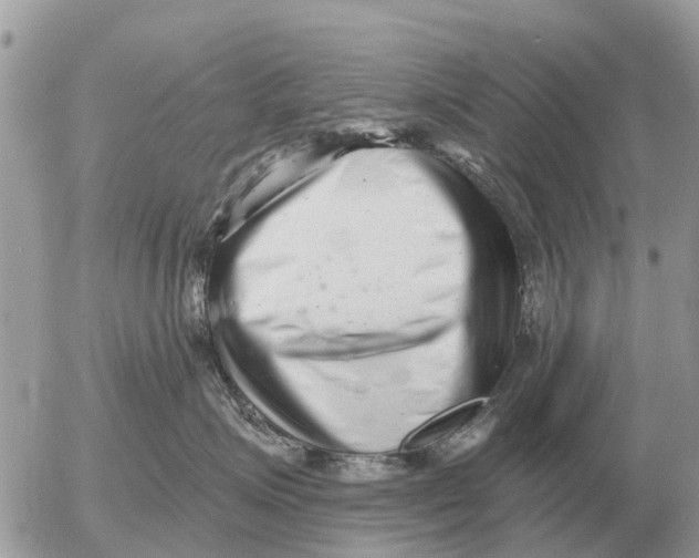 X0000054440623200508270014