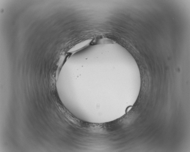 X0000054440624200508270014