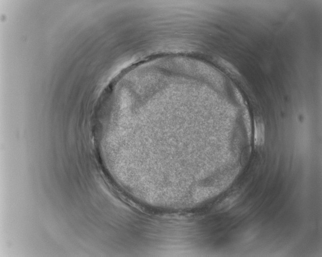 X0000054440627200508270013