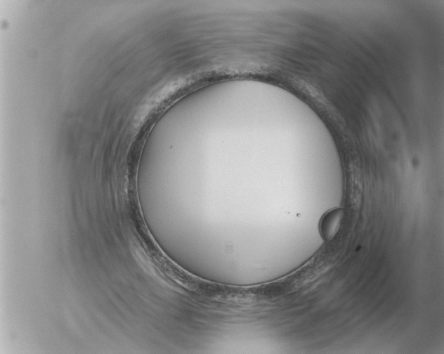 X0000054440631200508270013