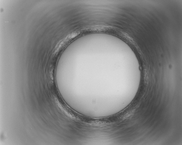 X0000054440633200508270013