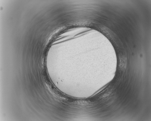 X0000054440636200508270013