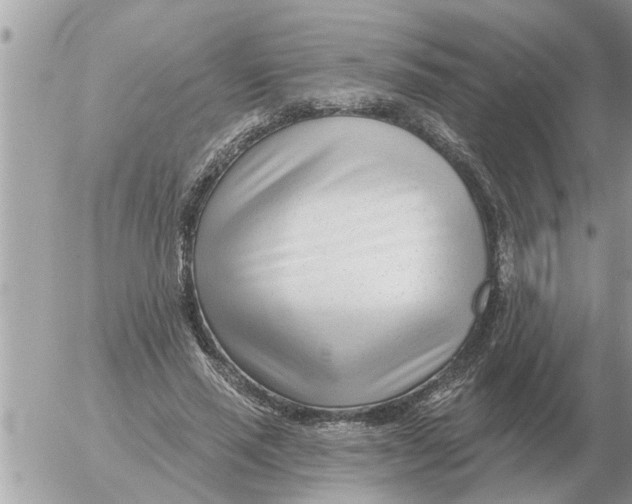 X0000054440637200508270013