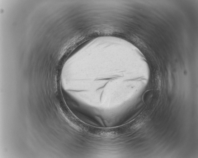 X0000054440638200508270013