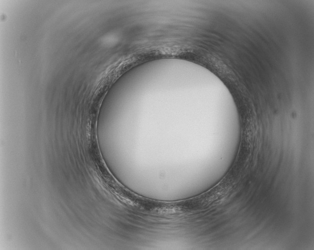 X0000054440639200508270013