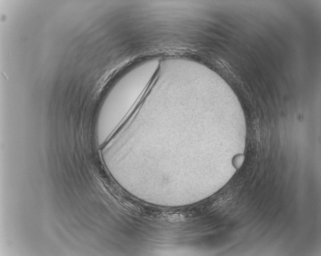 X0000054440640200508270013