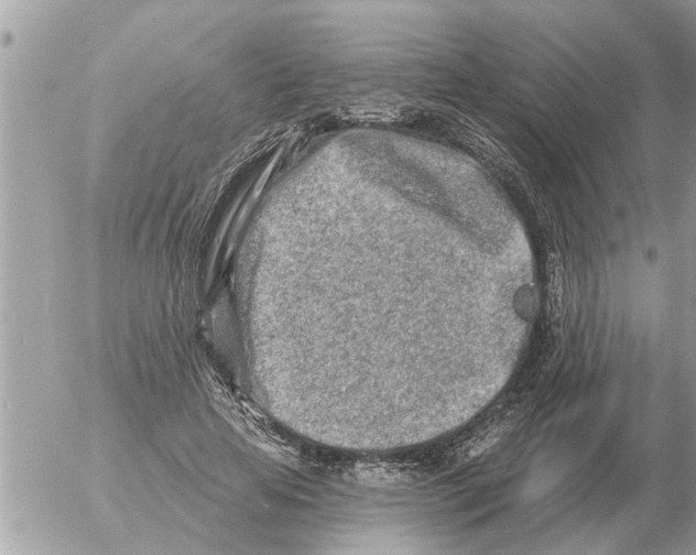 X0000054440641200508270013