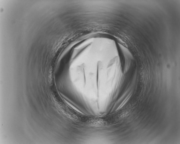 X0000054440642200508270014