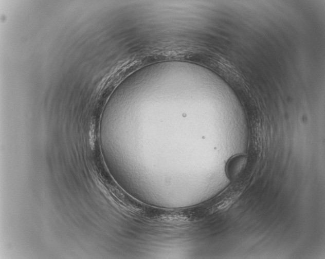 X0000054440644200508270014