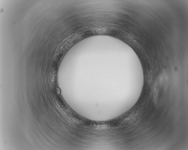 X0000054440645200508270014