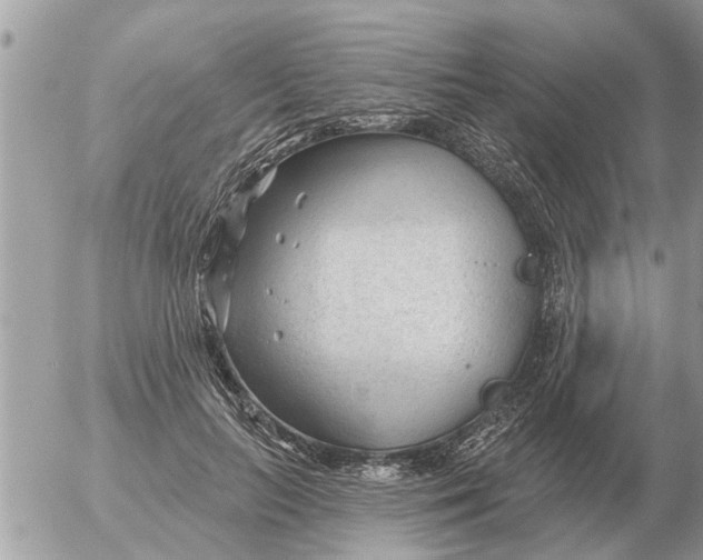 X0000054440647200508270014