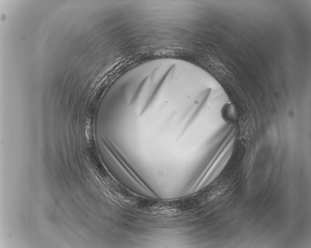 X0000054440648200508270014