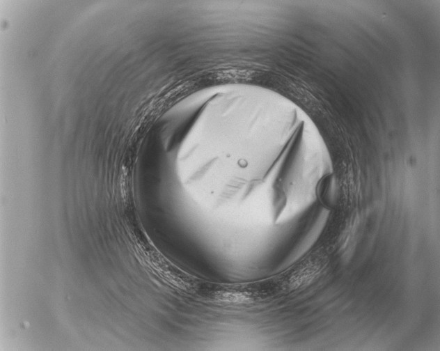 X0000054440649200508270014