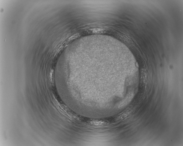 X0000054440650200508270014