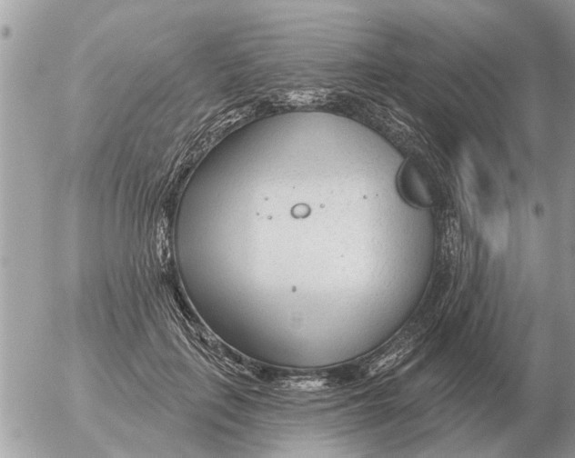 X0000054440651200508270014