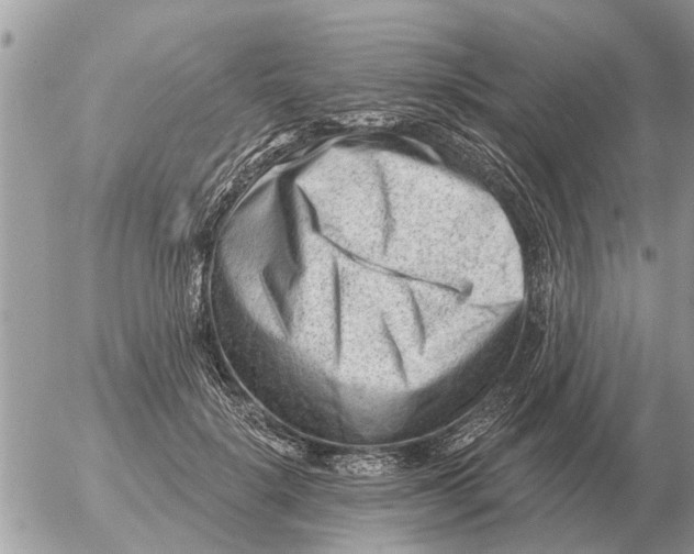 X0000054440652200508270014