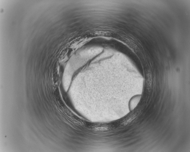 X0000054440653200508270014