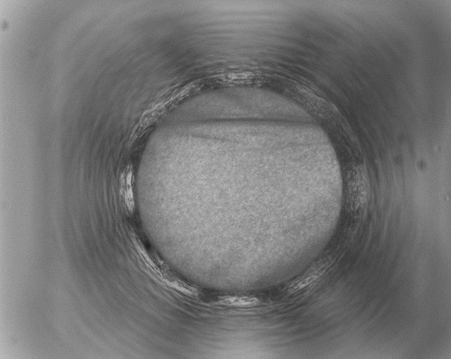 X0000054440654200508270014