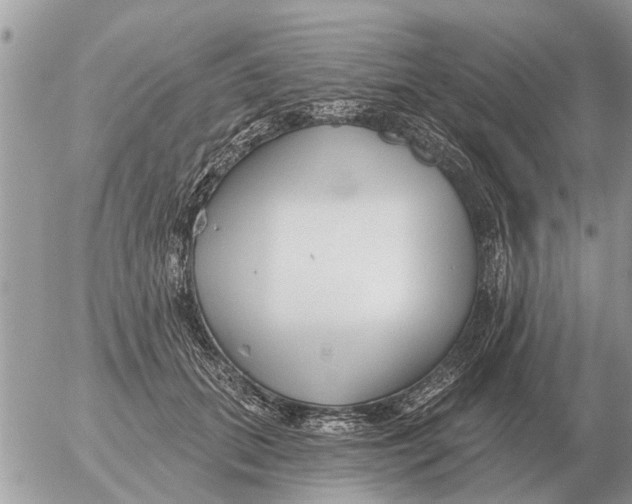 X0000054440655200508270014