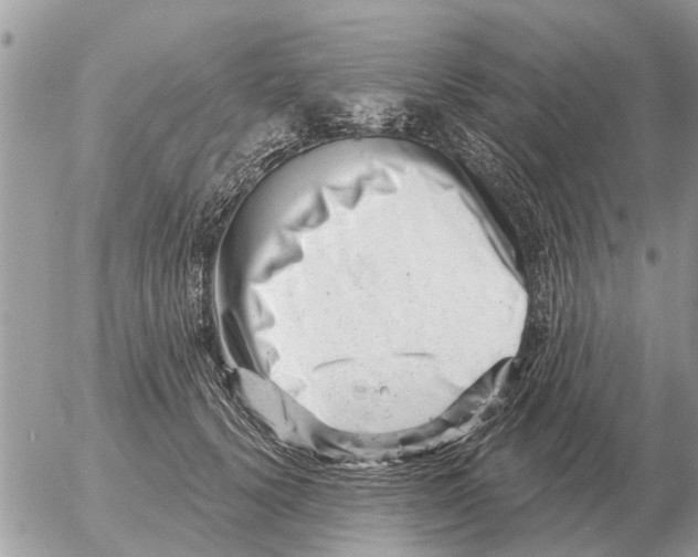 X0000054440656200508270014