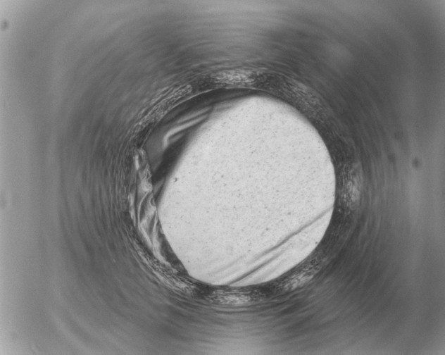 X0000054440658200508270014