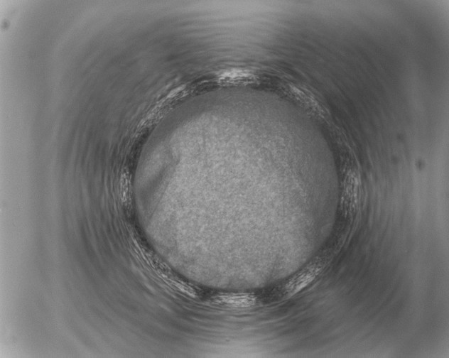 X0000054440659200508270014