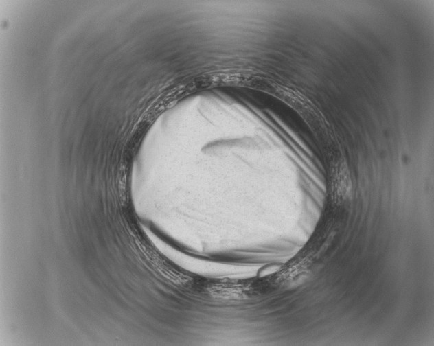 X0000054440661200508270014