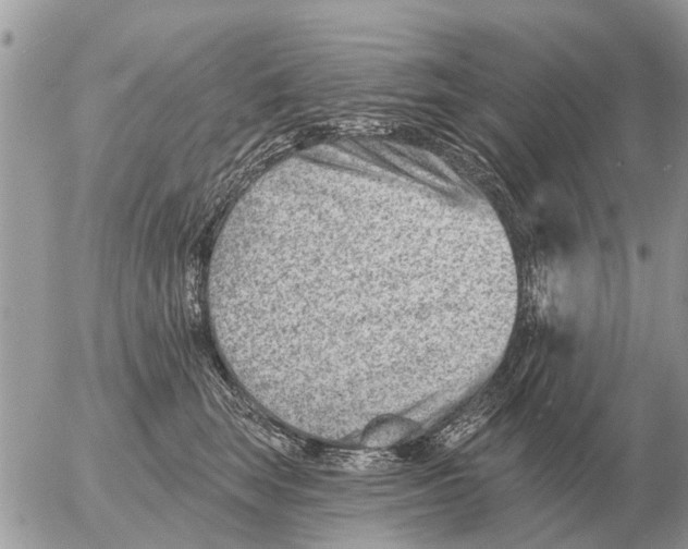 X0000054440663200508270014