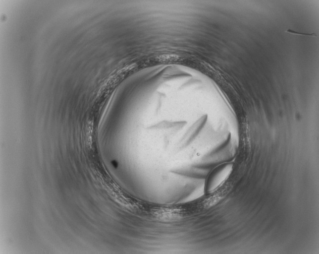 X0000054440664200508270014