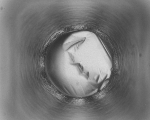 X0000054440665200508270014