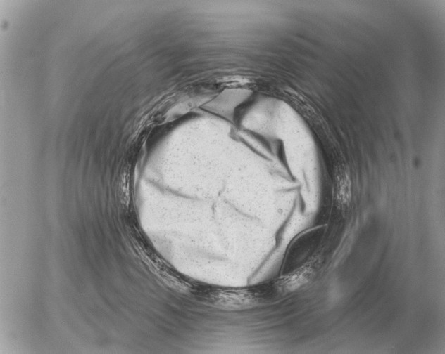 X0000054440666200508270014