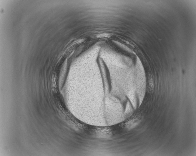 X0000054440667200508270014