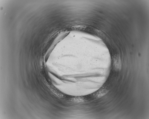 X0000054440668200508270014