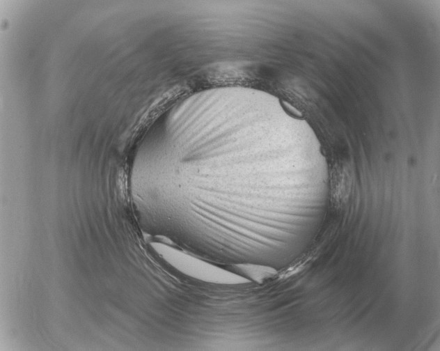 X0000054440669200508270014