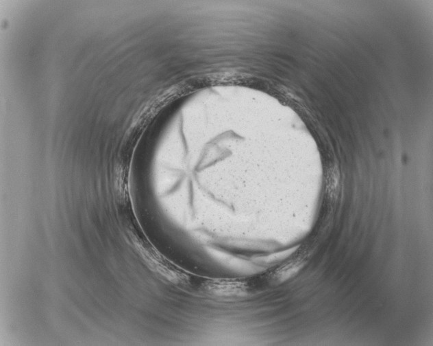 X0000054440670200508270014