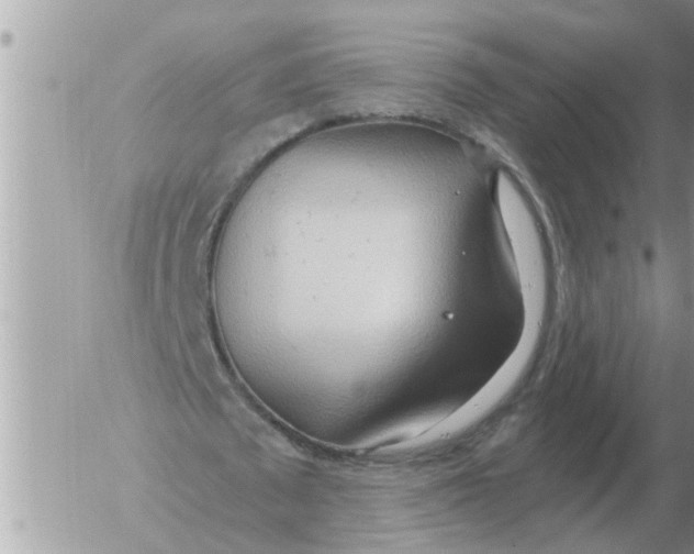 X0000054440673200508270013