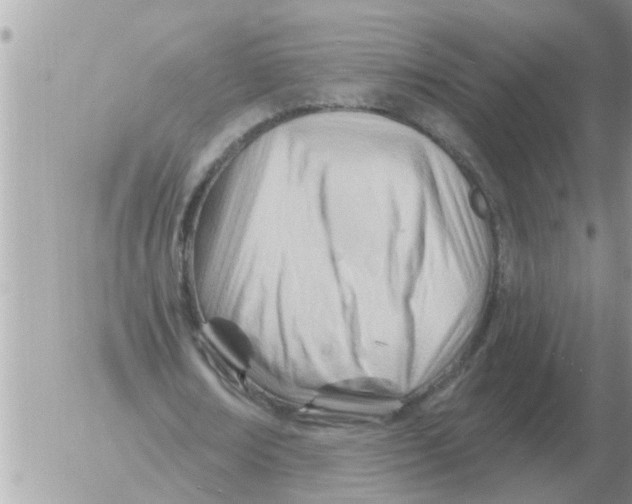 X0000054440674200508270013