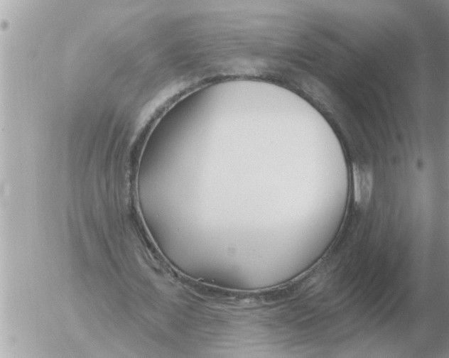 X0000054440675200508270013