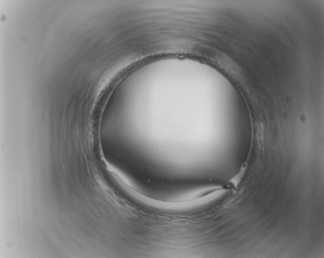 X0000054440676200508270013