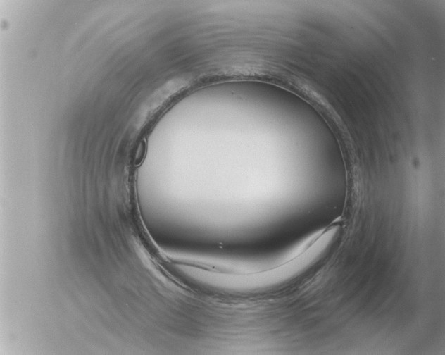 X0000054440677200508270013