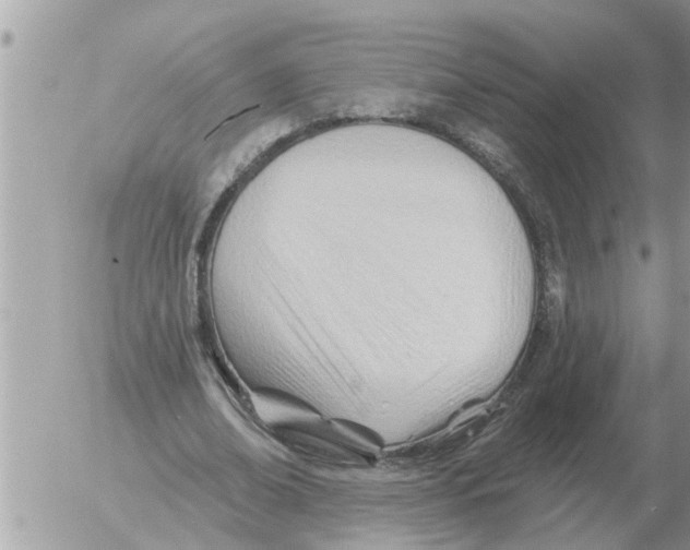 X0000054440678200508270013