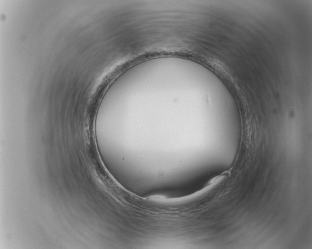 X0000054440680200508270013