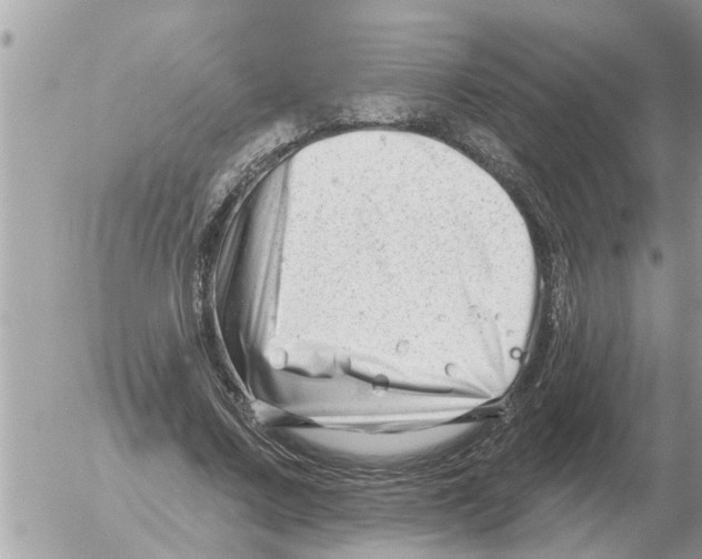 X0000054440683200508270013