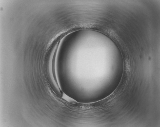 X0000054440684200508270013