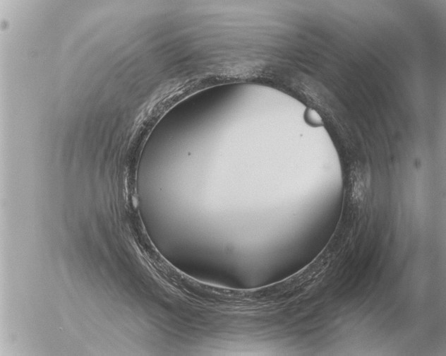 X0000054440685200508270013