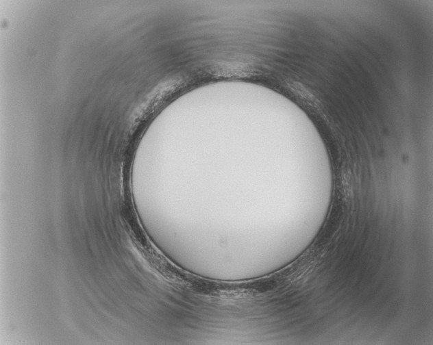 X0000054440686200508270013