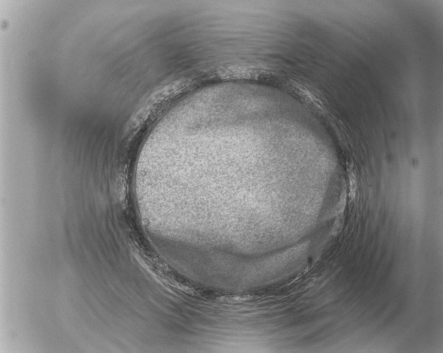 X0000054440687200508270013