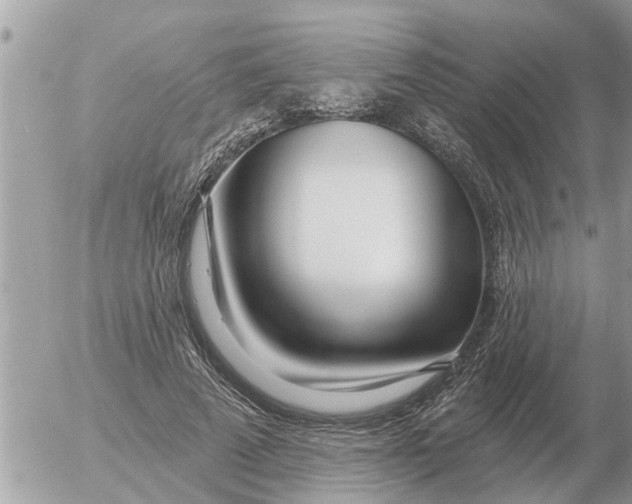 X0000054440689200508270013