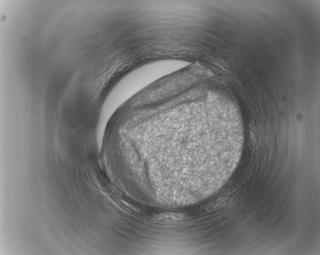 X0000054440691200508270013