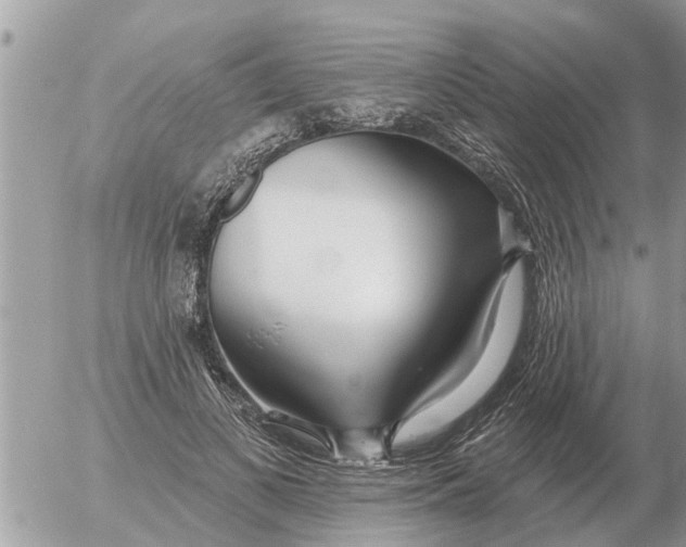 X0000054440693200508270013